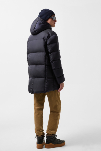 38457593_464_02 38457593_464_02